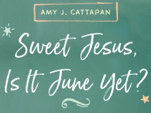 Detail from the cover of Amy Cattapan's "Sweet Jesus, is it June Yet?"